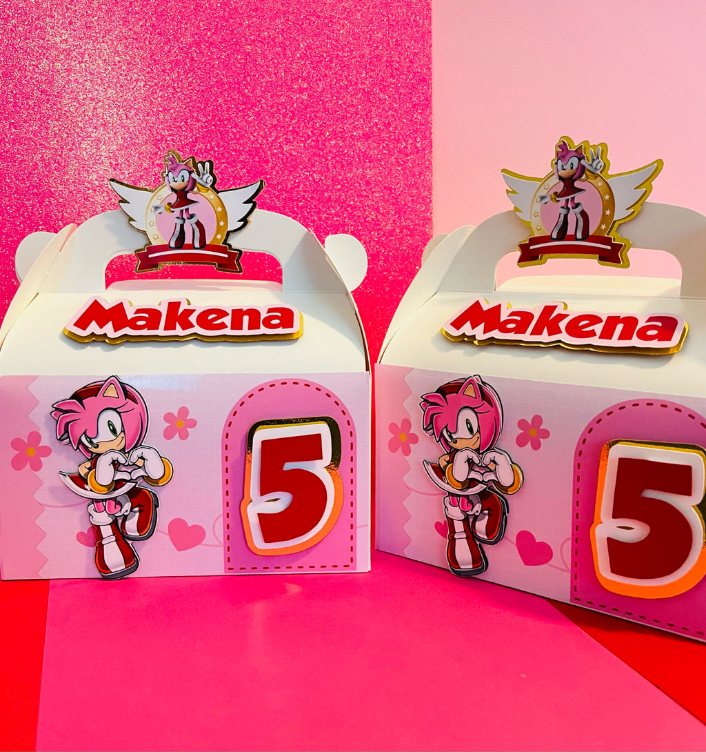 Sonic Girl Gable Box