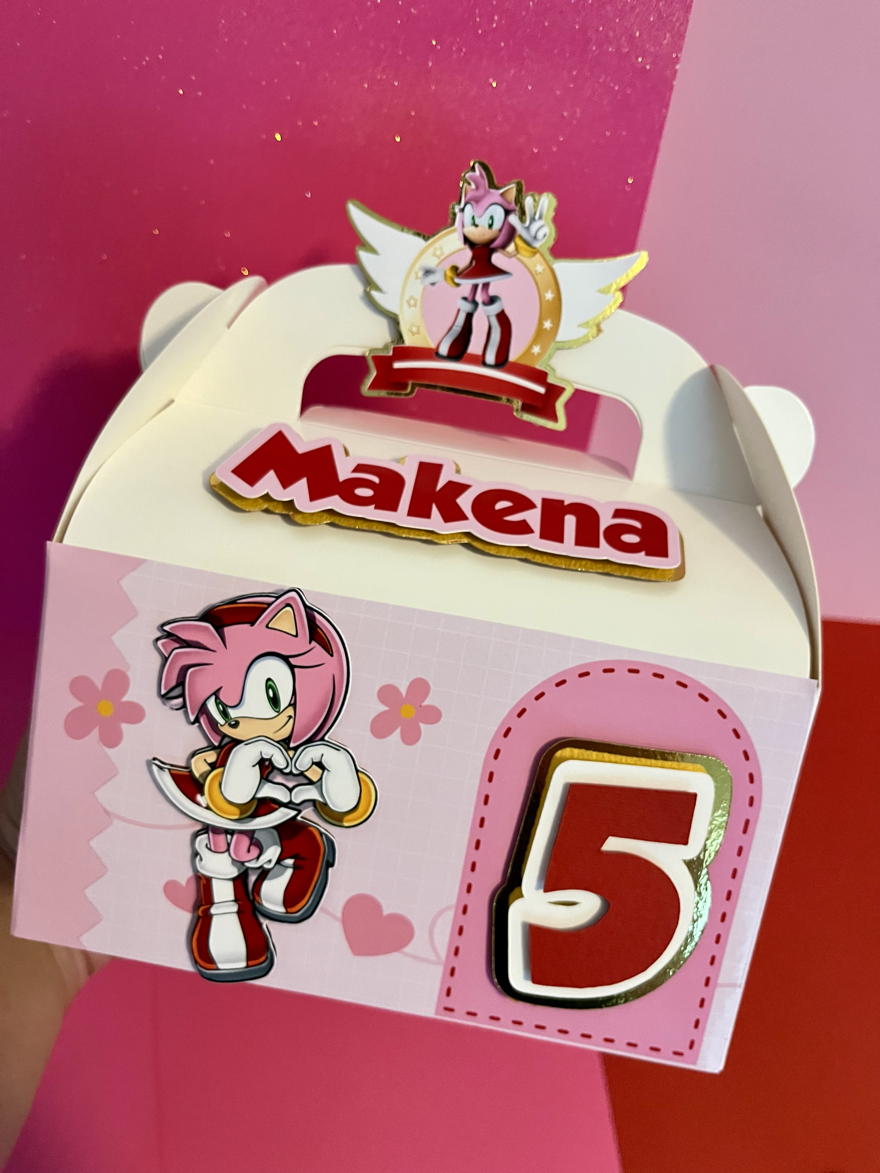 Sonic Girl Gable Box